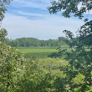 Meet your Posher, Adrianna